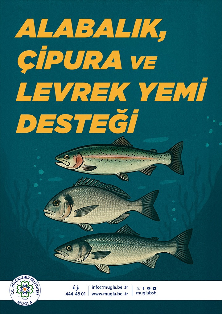 Alabalık, Çipura ve Levrek Yemi Desteği