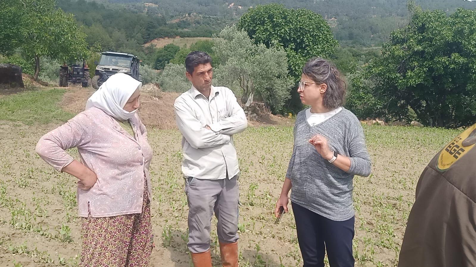 Büyükşehir’den Dolu Felaketine Karşı Hızlı Müdahale