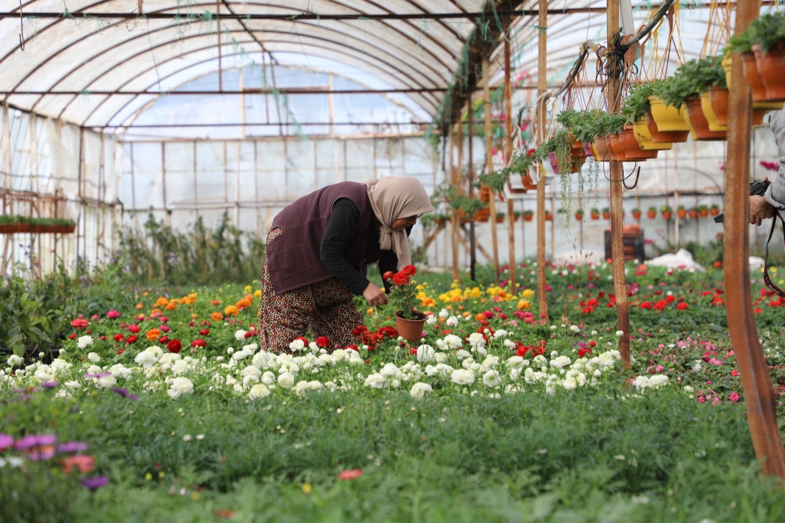 Muğla’da Üretici Kadınlar Meclisi Kuruluyor