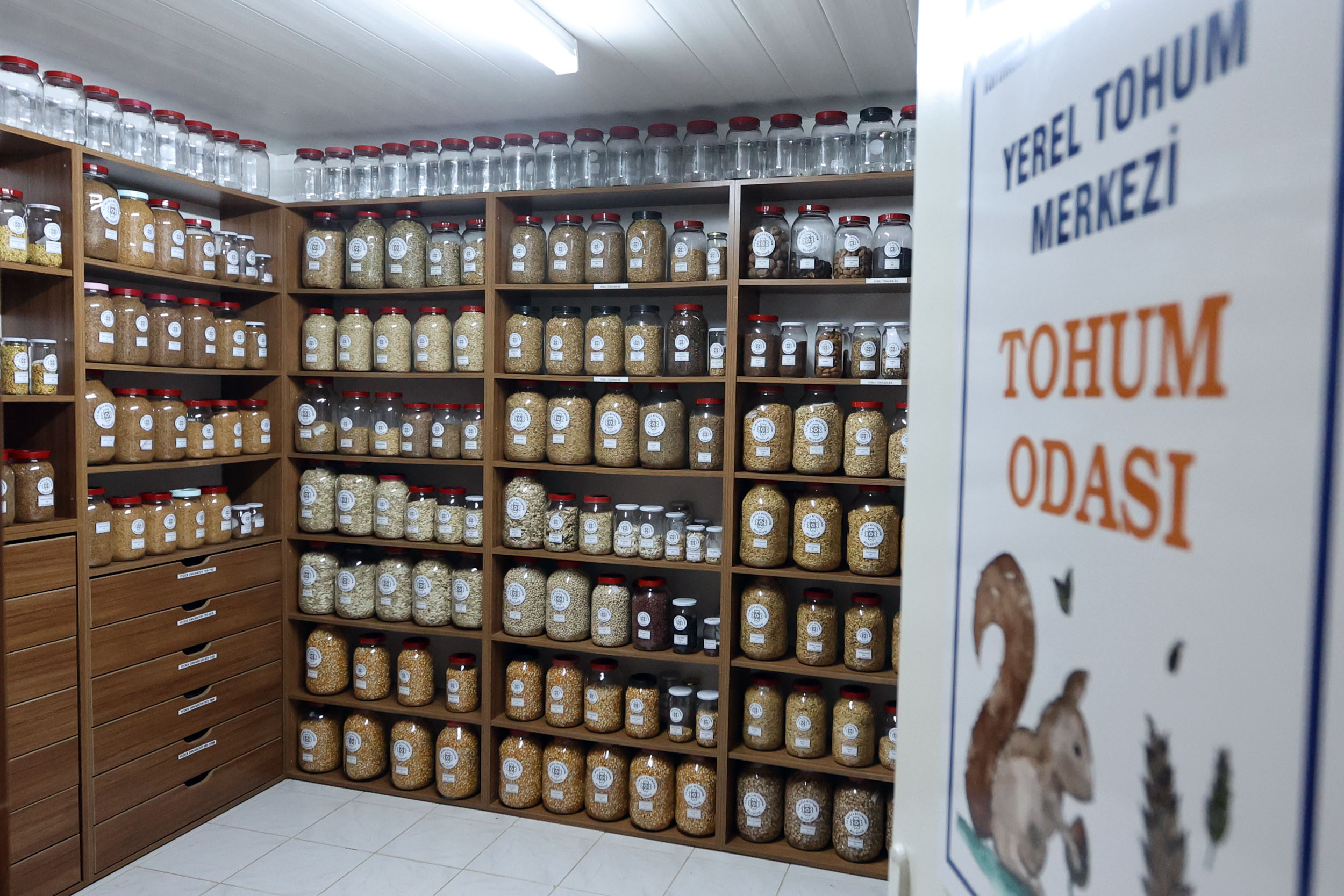 Büyükşehir Yerel Tohum Merkezi’nden 81 İle 22 Milyon Yerel Tohum Desteği