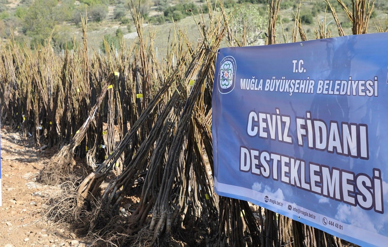 Her Kapıda Bir Fidan Projesi Menteşe’de Başlıyor 