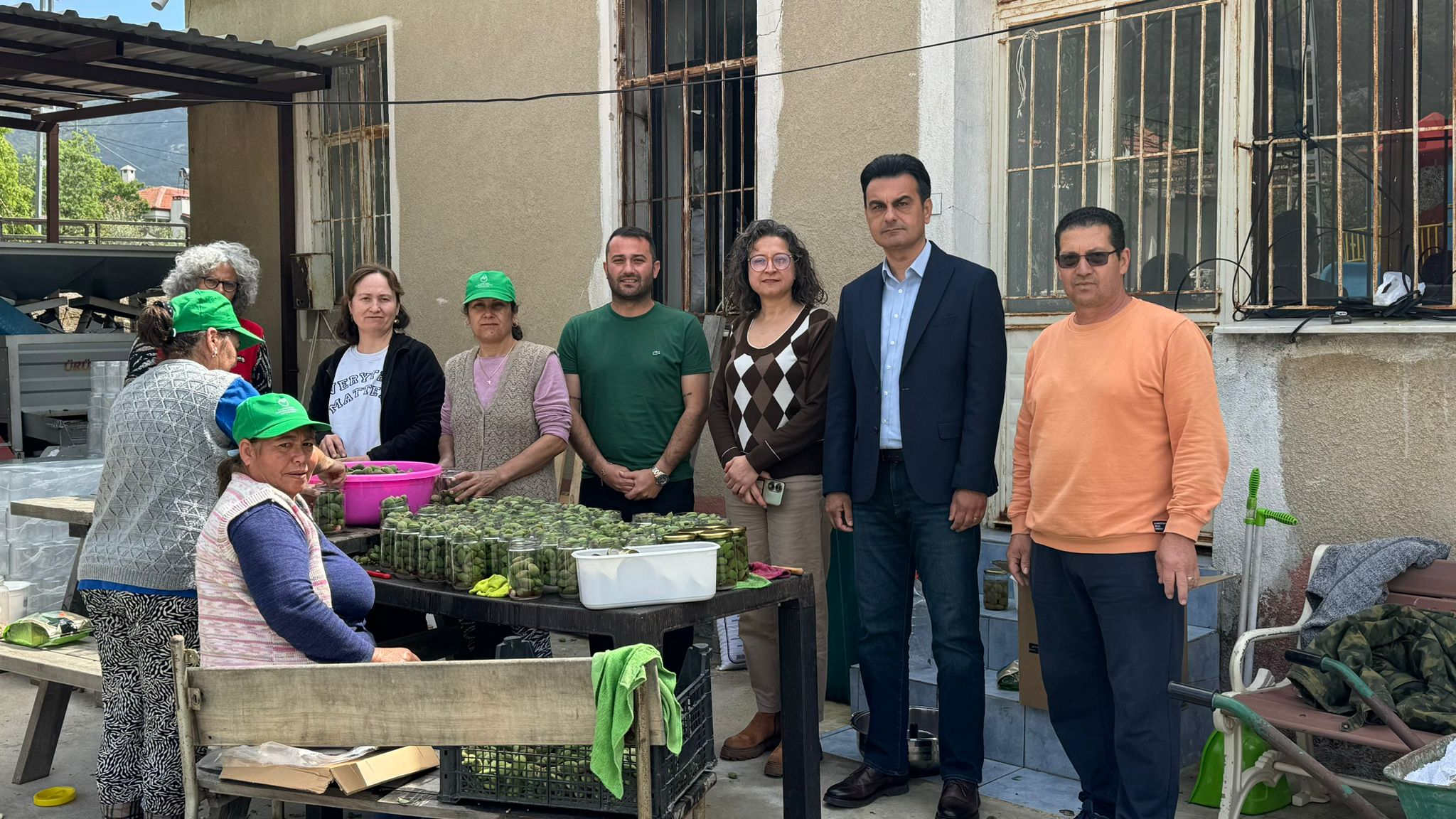 Datça’da Çağla Turşusu Bereketi