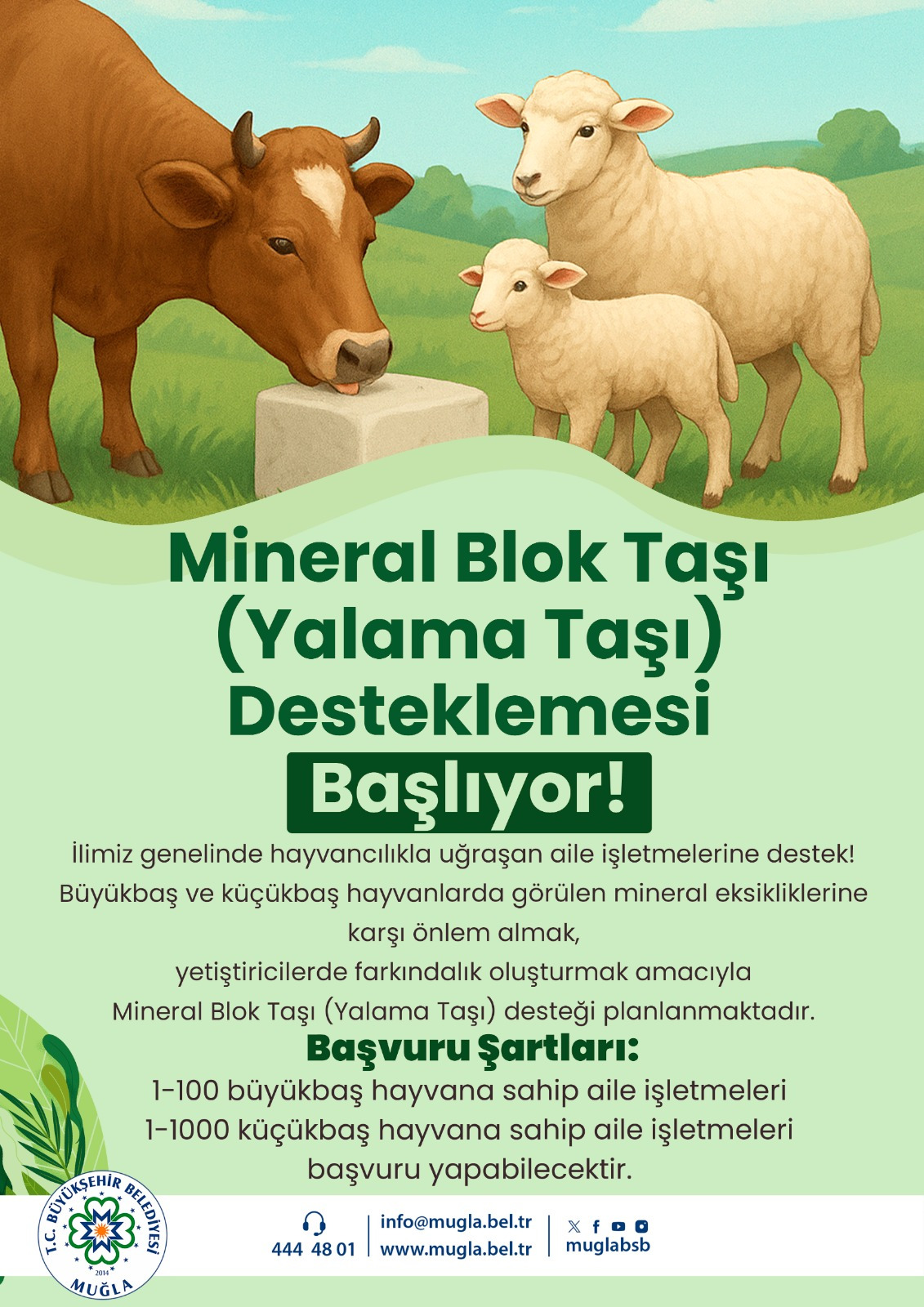 Büyükşehir’den Hayvan Sağlığını Düşünen Destek
