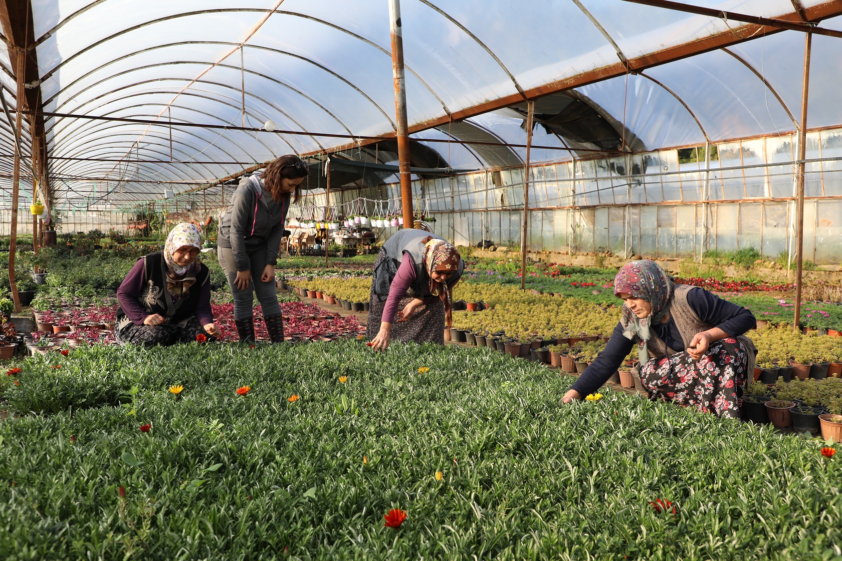 Büyükşehir Kadın Emeğiyle Yerel Kalkınmayı Güçlendiriyor